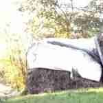 Metin M