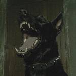 Nobody Cares About Me