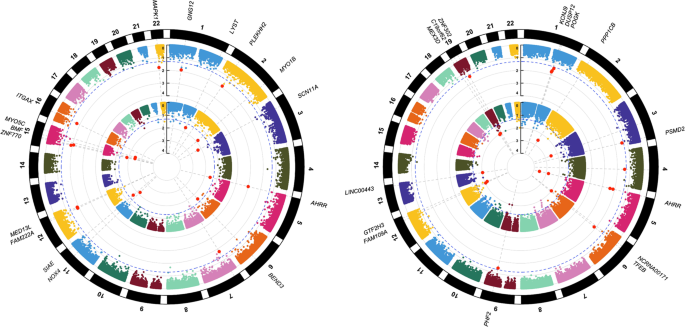 Genome-wide DNA ****ylation association study of recent and cumulative marijuana use in middle aged adults | Molecular Psychiatry