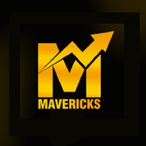 THE MARKETING MAVERICKS